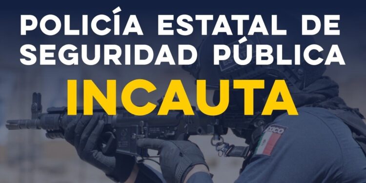 Incauta Gobierno de Sonora 335 armas de fuego en operativos de combate al delito