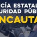 Incauta Gobierno de Sonora 335 armas de fuego en operativos de combate al delito
