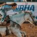 Brillan alumnas de Cobach Sonora como campeonas en rodeo