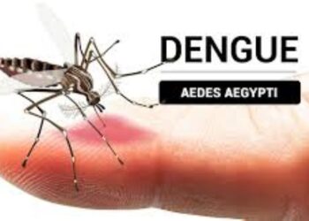 Mantiene Gobierno de Sonora bajos los casos confirmados de dengue en Sonora; no hay defunciones