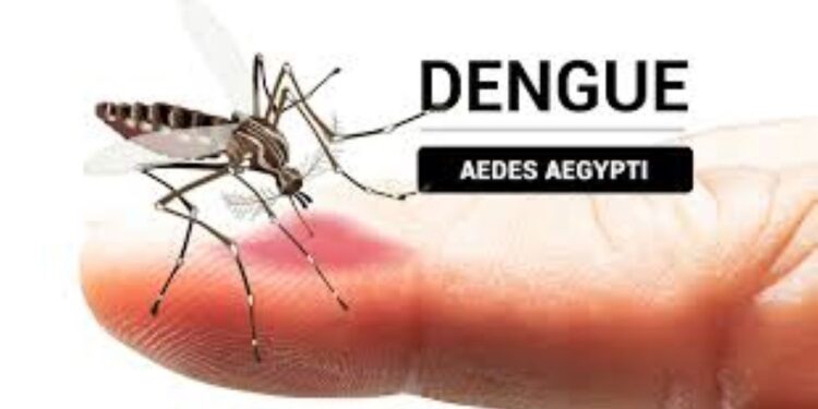 Mantiene Gobierno de Sonora bajos los casos confirmados de dengue en Sonora; no hay defunciones