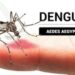 Mantiene Gobierno de Sonora bajos los casos confirmados de dengue en Sonora; no hay defunciones