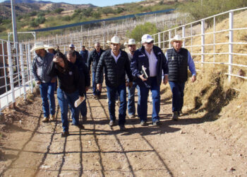 Gobierno de Sonora y Federación trabajan con Estados Unidos por el bienestar de ganaderos
