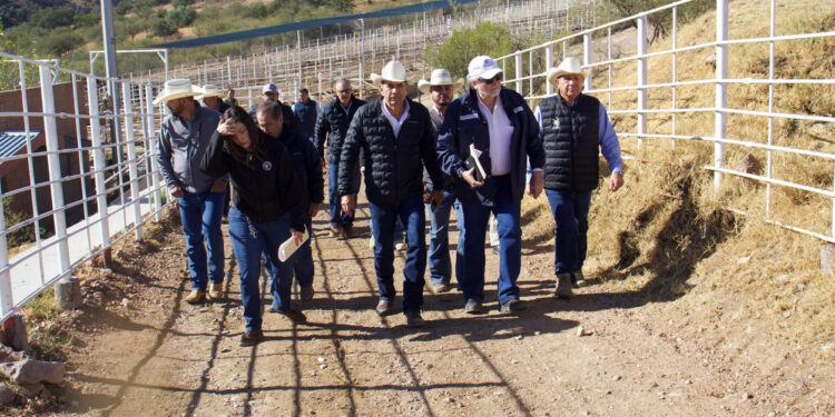 Gobierno de Sonora y Federación trabajan con Estados Unidos por el bienestar de ganaderos