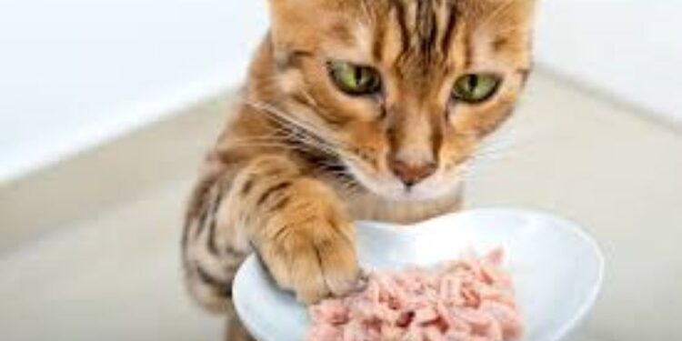 Emiten alerta en EU y Canadá por alimento para mascotas contaminado con gripe aviar