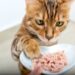 Emiten alerta en EU y Canadá por alimento para mascotas contaminado con gripe aviar