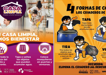 Sonora continúa con tendencia a la baja en casos confirmados de dengue: Salud Sonora