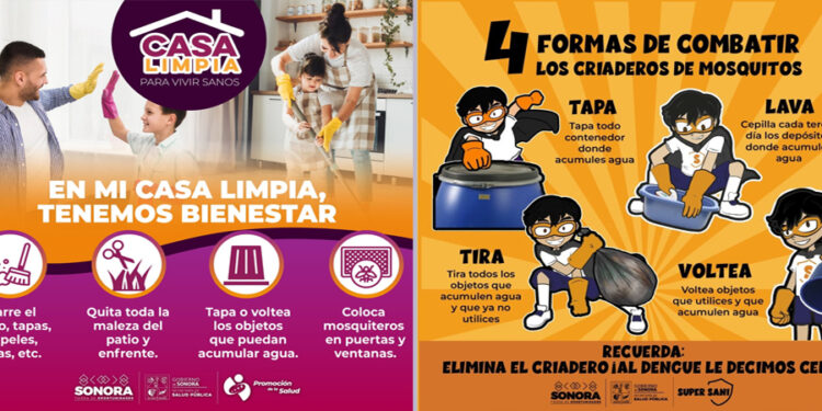 Sonora continúa con tendencia a la baja en casos confirmados de dengue: Salud Sonora
