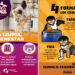 Sonora continúa con tendencia a la baja en casos confirmados de dengue: Salud Sonora