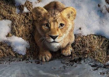 ‘Mufasa’ arrasa en taquilla; supera a ‘Nosferatu’ y al biopic de Bob Dylan