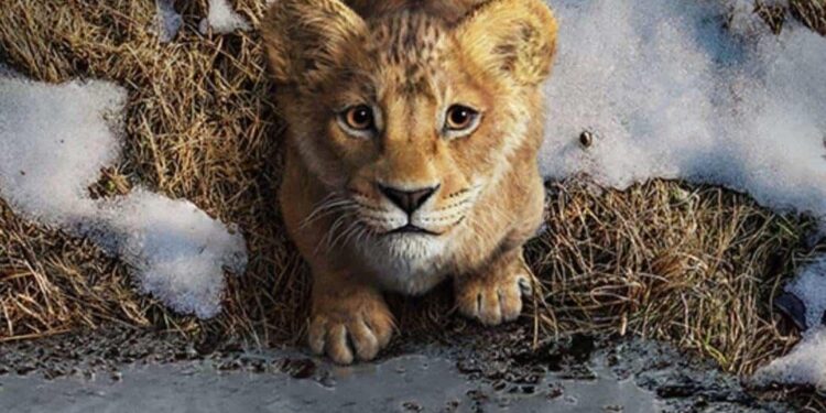 ‘Mufasa’ arrasa en taquilla; supera a ‘Nosferatu’ y al biopic de Bob Dylan
