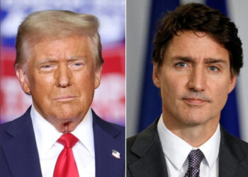 Trudeau avanzó para frenar eventual imposición de aranceles: embajadora