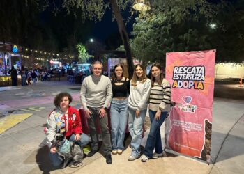 Recolecta sociedad civil y diputado Omar Del Valle tres toneladas de croquetas