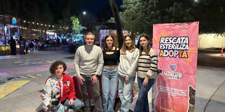 Recolecta sociedad civil y diputado Omar Del Valle tres toneladas de croquetas