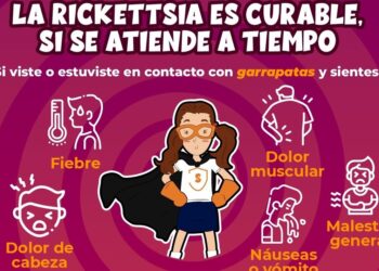 Salud Sonora llama a ciudadanía a trabajar en conjunto para prevenir la rickettsiosis