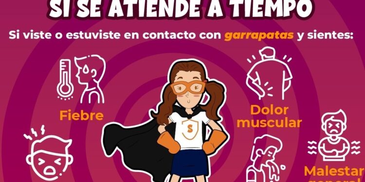 Salud Sonora llama a ciudadanía a trabajar en conjunto para prevenir la rickettsiosis