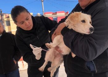 Llevan dependencias Jornada de Salud a la colonia Las Colinas.