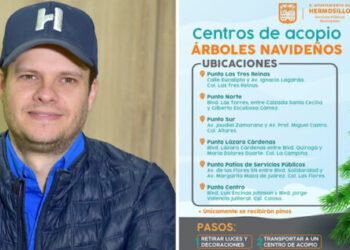 Invita Ayuntamiento de Hermosillo a depositar árboles navideños en centros de acopio