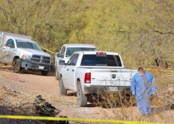 Encuentran 19 cuerpos en fosas clandestinas en Hermosillo