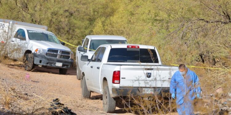 Encuentran 19 cuerpos en fosas clandestinas en Hermosillo