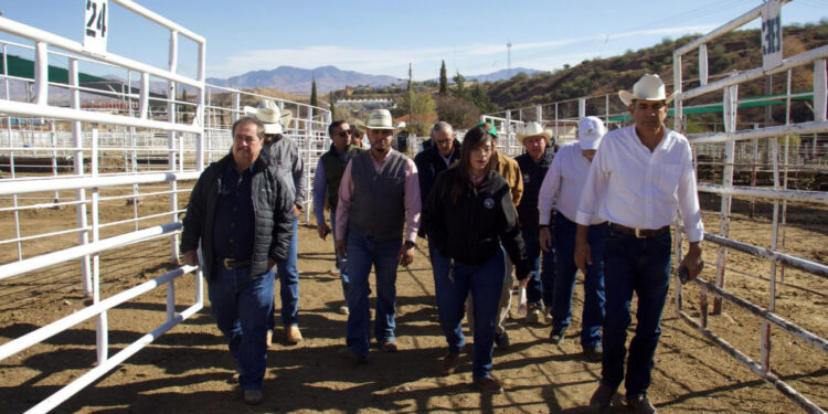 Gobierno de Sonora listo para recibir inspección de EU y reanudar exportación de ganado