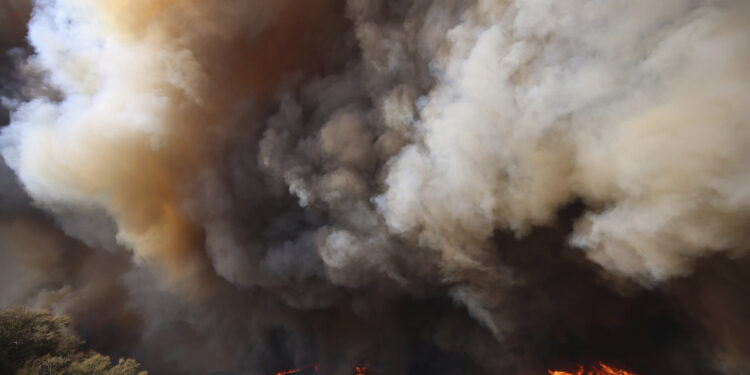 Nuevo incendio en Los Ángeles destruye 2 mil hectáreas y fuerza evacuación masiva