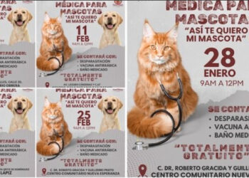 Jornada Médica para Mascotas 2025