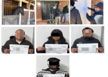 Autoridades aseguran un tigre, venados y caballos en domicilio en Nogales