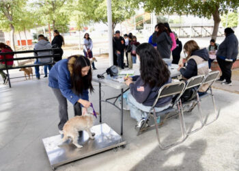 Inicia el año Gobierno de Sonora con jornadas de esterilización canina y felina