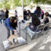 Inicia el año Gobierno de Sonora con jornadas de esterilización canina y felina