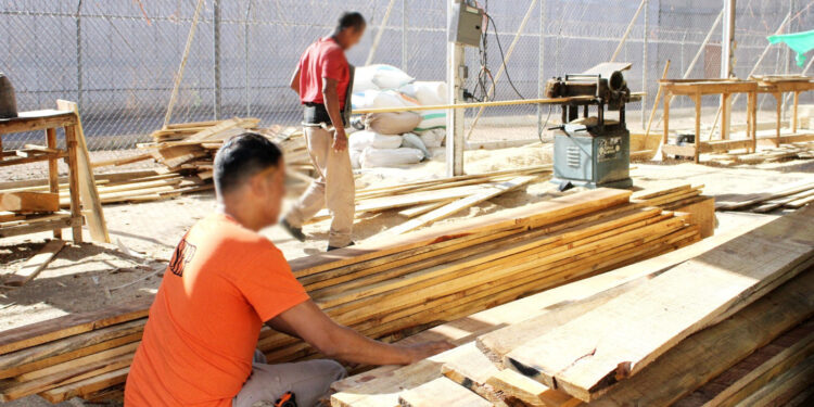 Brinda Sistema Penitenciario en Sonora herramientas para una reinserción laboral: SSP