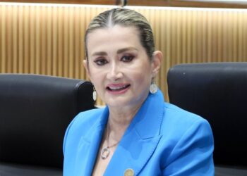 Conmemora Diputada Ely Sallard día nacional de la vivienda