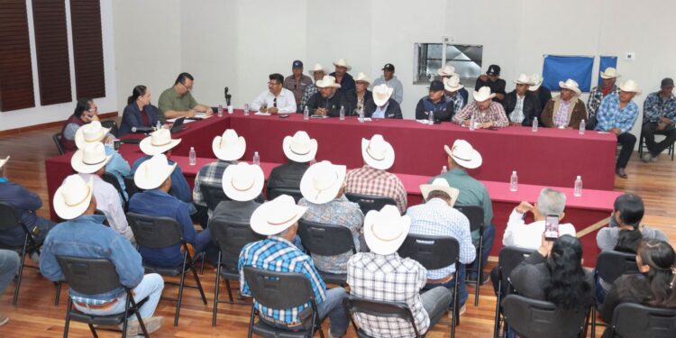 Participa doctora Karla Córdova González en reunión con autoridades de los pueblos Yaquis.