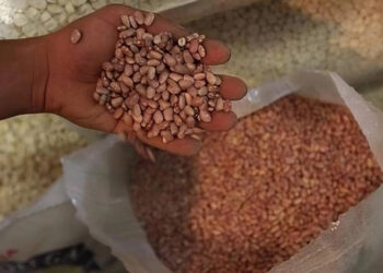 Agricultores en plantón en Tamaulipas llegan a acuerdo con Segalmex
