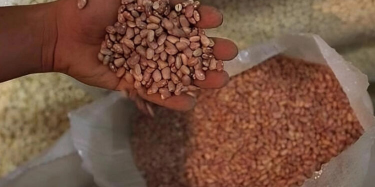 Agricultores en plantón en Tamaulipas llegan a acuerdo con Segalmex