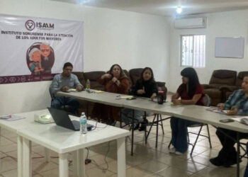 Colaboran instituciones de Sonora con la seguridad de las mujeres: Sistema Salva