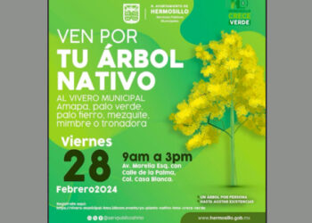 Donarán 500 árboles nativos en el Vivero Municipal