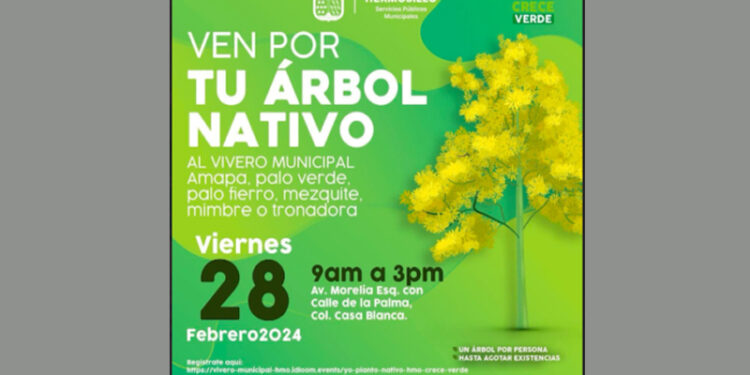 Donarán 500 árboles nativos en el Vivero Municipal