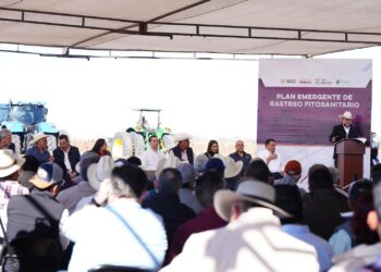 Gobernador Durazo beneficia a productores del sur con arranque del Plan Emergente de Rastreo Fitosanitario