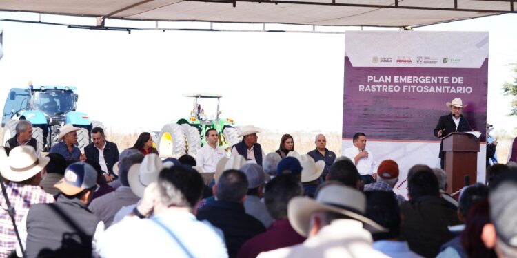 Gobernador Durazo beneficia a productores del sur con arranque del Plan Emergente de Rastreo Fitosanitario