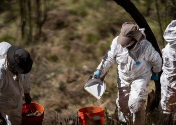 Iniciativa de ley de Desaparición Forzada en Guerrero tiene 4 años detenida