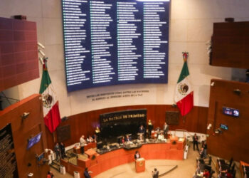 No relección continua ni nepotismo electoral, ejes de reforma de Sheinbaum