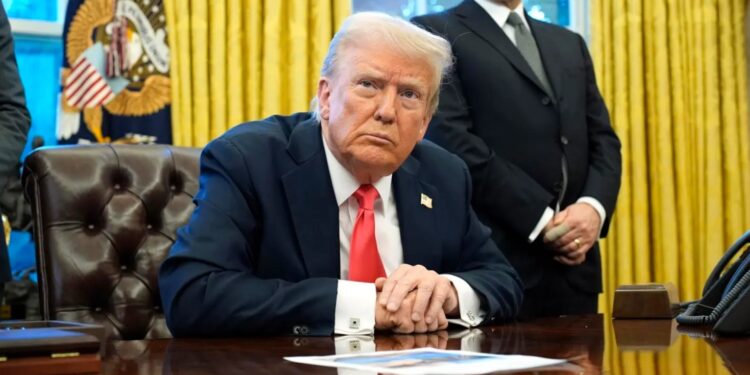 Trump dice que no ve avances de lucha antidrogas en México