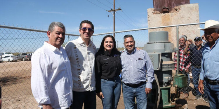 Gobierno de Sonora reactiva tierras al cultivo con obra hidroagrícola en Navojoa