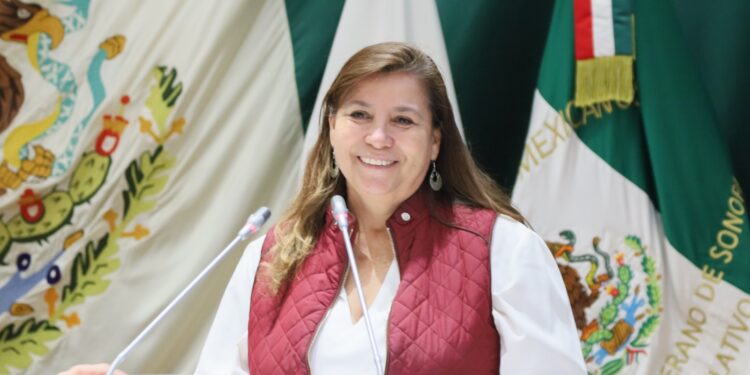 Diputada Vicky Espinoza propone establecer que la creación de consejos municipales de participación escolar sea obligatoria