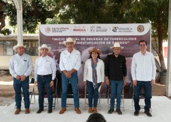 Gobierno del Estado impulsa programa integral para erradicar la tuberculosis bovina en la región del Mayo