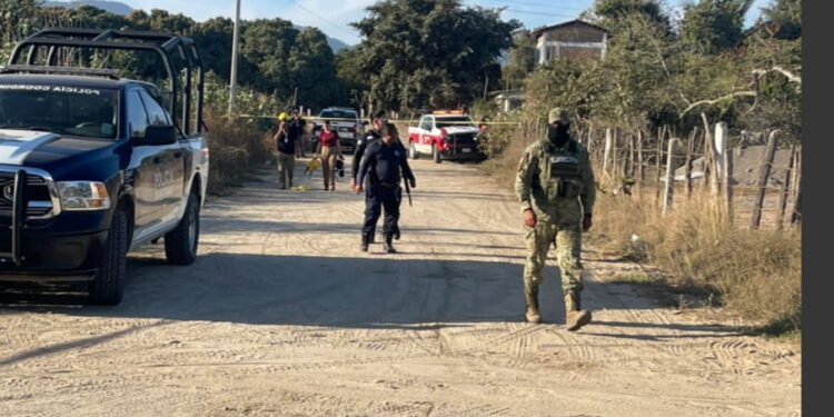 Desplome de avioneta en Bahía de Banderas deja 3 víctimas