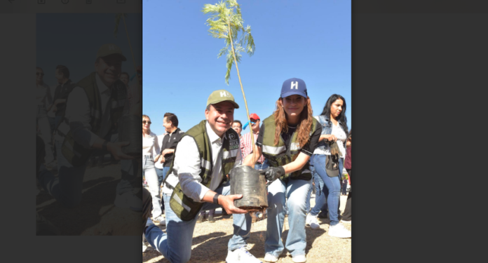 Reconocen gobierno de Toño Astiazarán por arborización e innovación en el cuidado de árboles