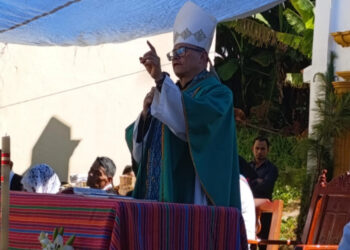 “Falta ir a la raíz en la inseguridad en Chiapas”: obispo Luis López