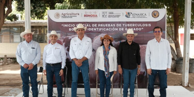 Gobierno del Estado impulsa programa integral para erradicar la tuberculosis bovina en la región del Mayo